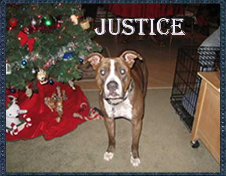 justice